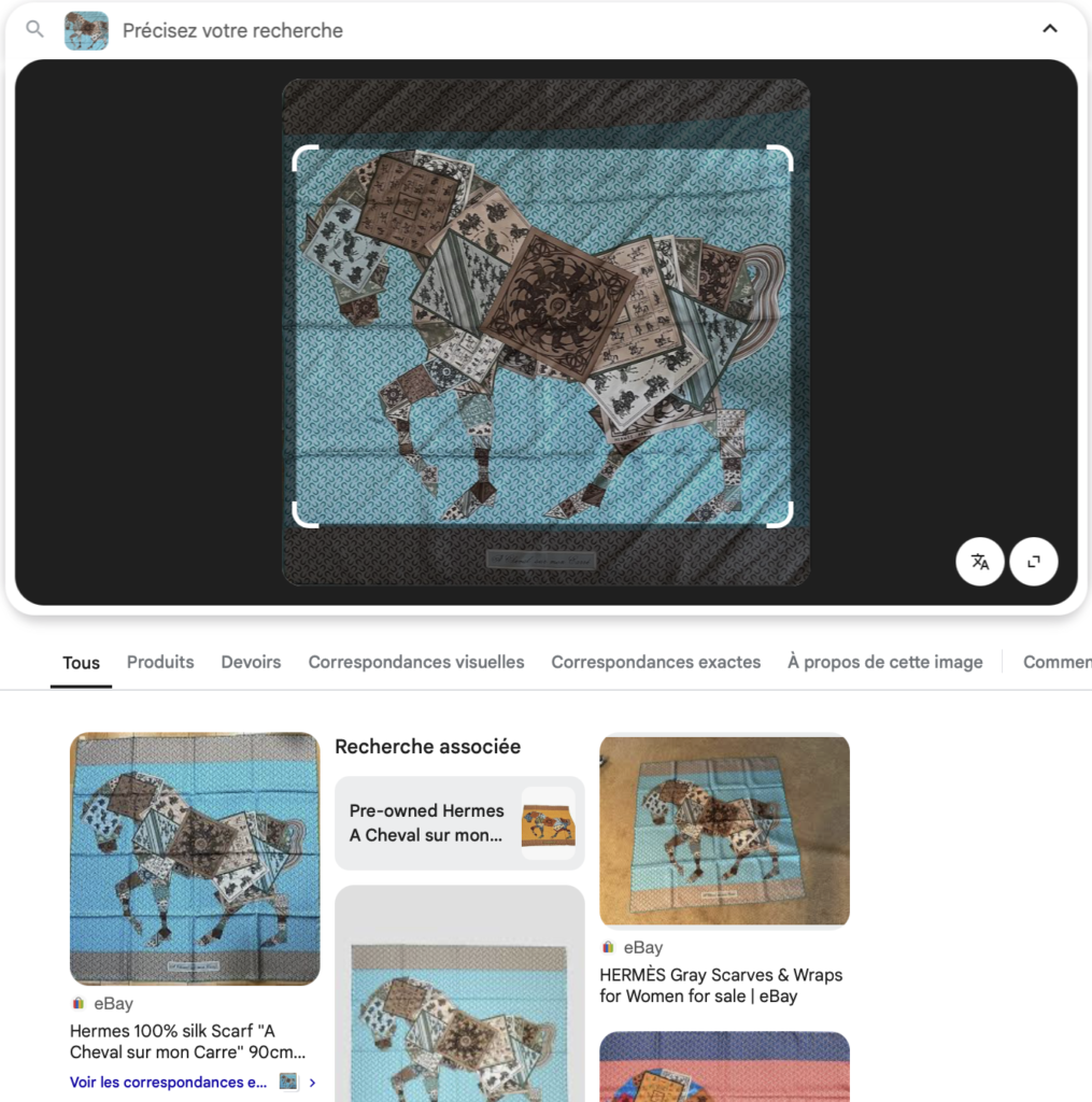 résultat de recherche Google Lens